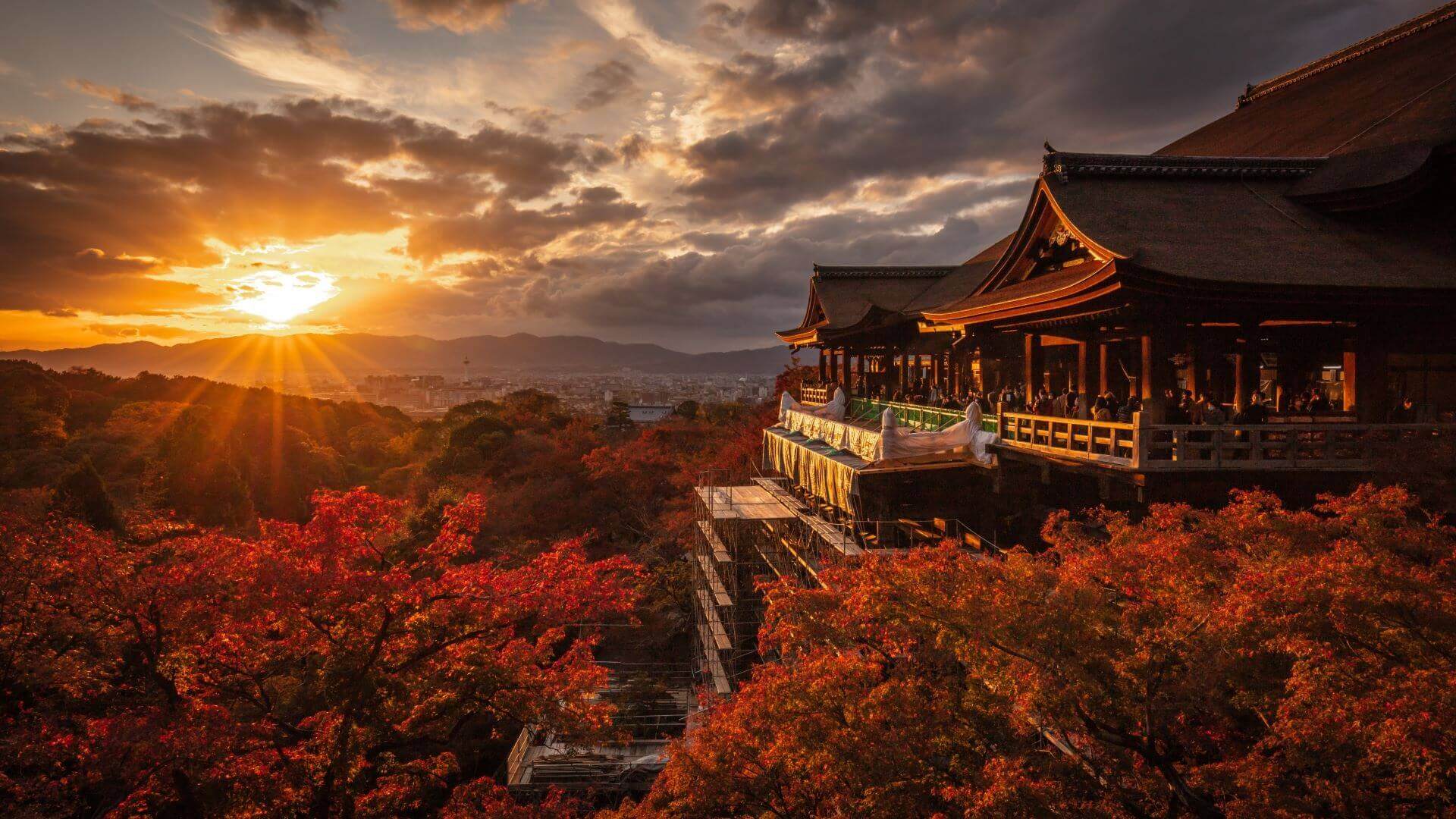 京都府 清水寺の紅葉